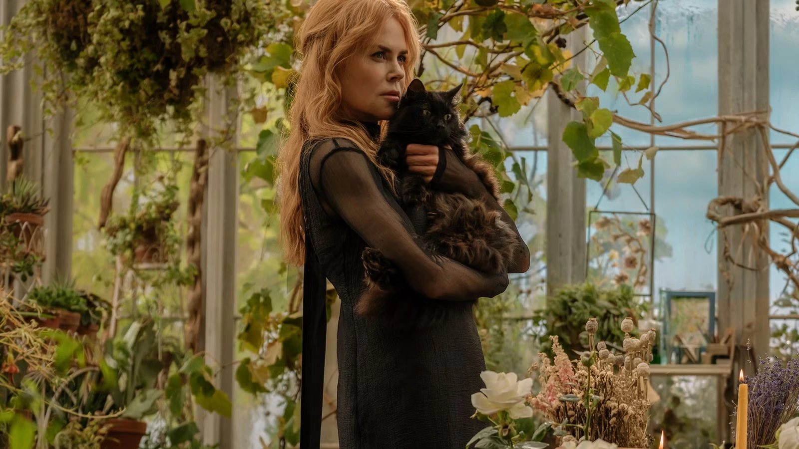 Николь Кидман в Практической магии 2