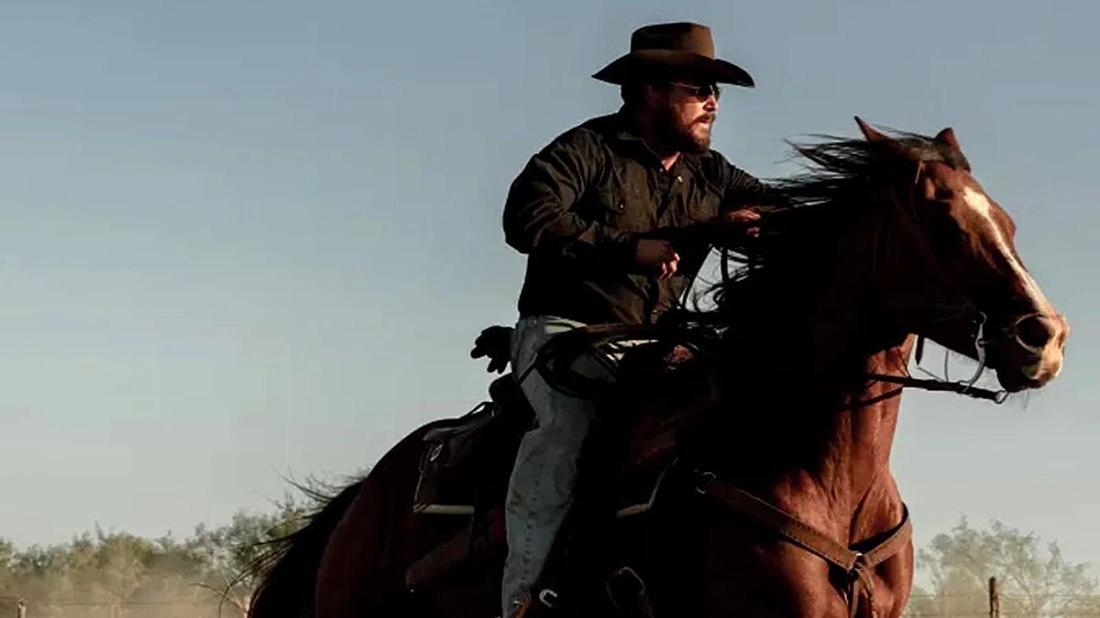 Коул Хаузер в роли Рипа Уилера