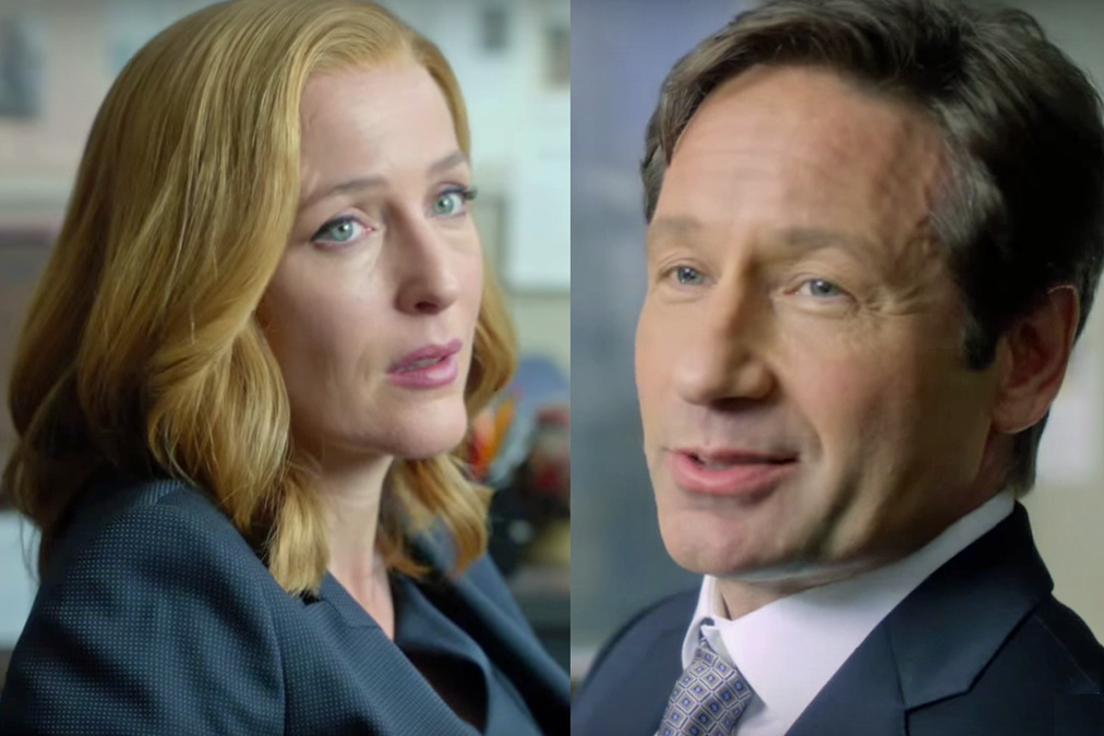 The X Files commercial article story large