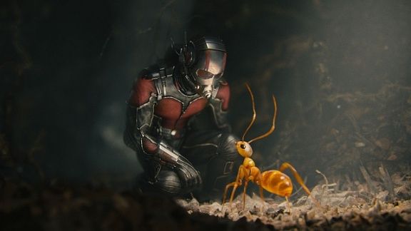 мне нравятся муравьи